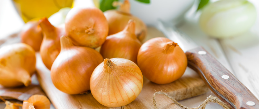 Onion- Treasure of Antioxidant