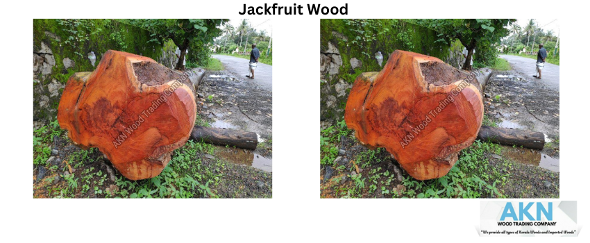 Here Is Everything That You Need To Know About Jackfruit Wood