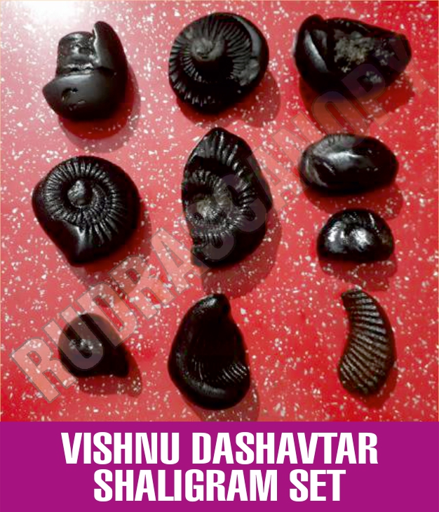 What Are The Benefits of Original Vishnu Dashavtar Shaligram?