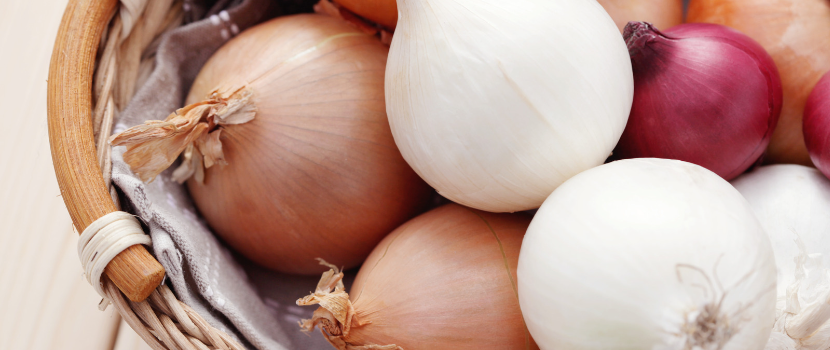 Onion- Key ingredient that make food delicious