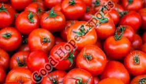 How to Choose the Best Tomato Sellers