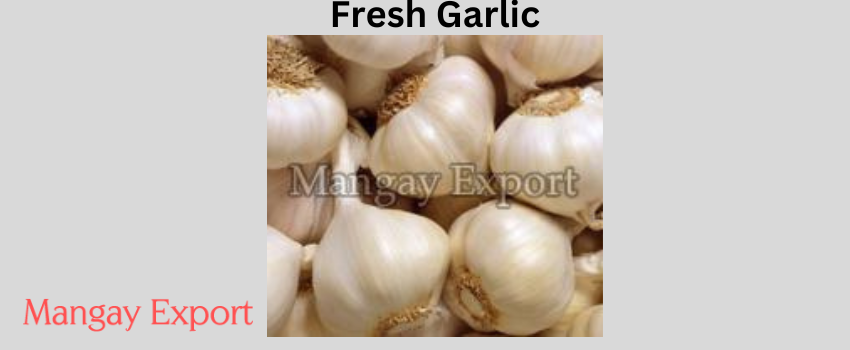 Fresh Garlic – Its significant health benefits