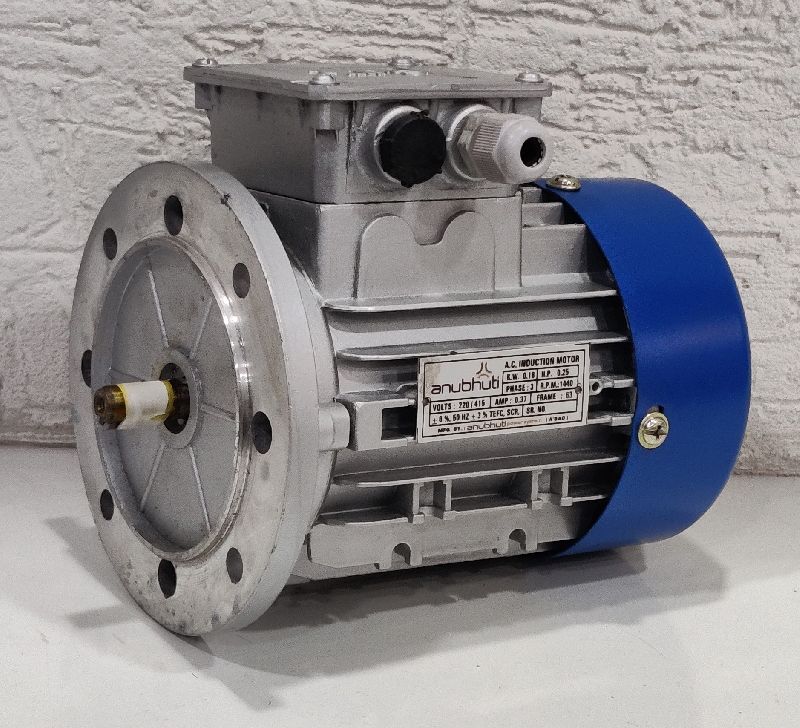 Selecting Flange Induction Motors for Your Business: Factors to Take into Account