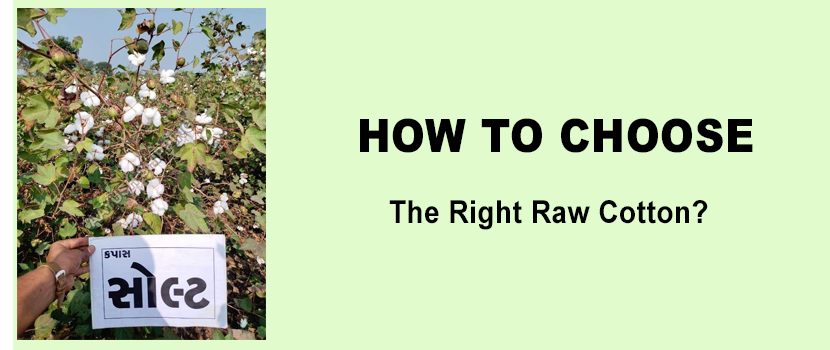 How To Choose The Right Raw Cotton?