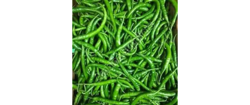 Add G4 Green Chilies To Your Meal For Added Health Benefits
