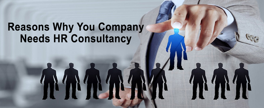 Reasons Why You Company Needs HR Consultancy