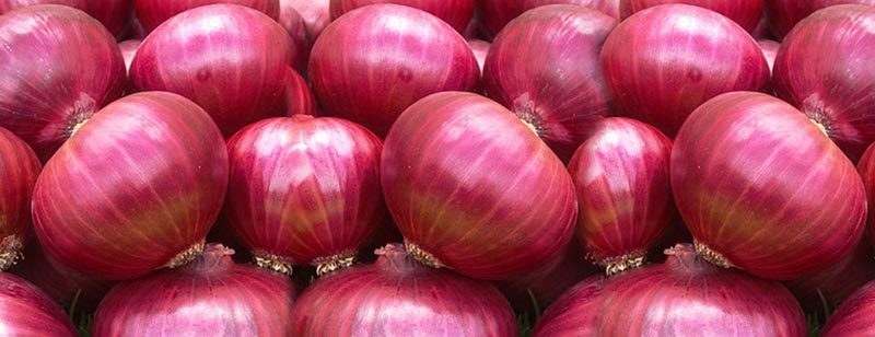 Reasons to Include Red Onions in Your Diet