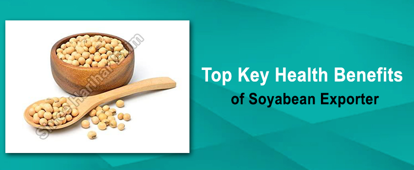 Top Key Health Benefits of Soyabean Exporter