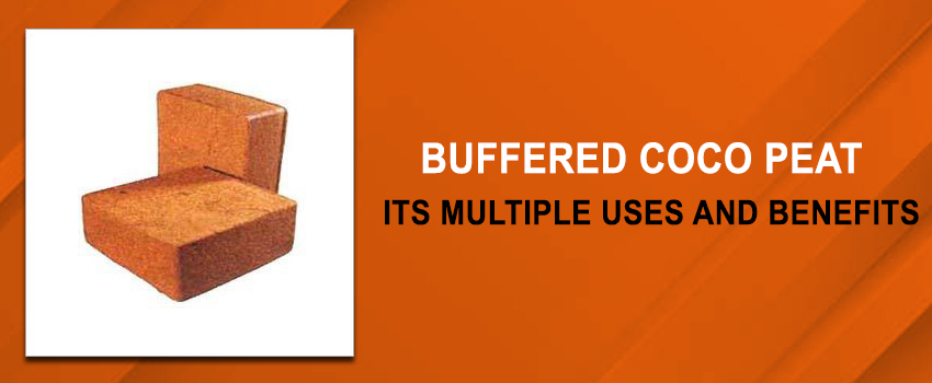 Buffered Coco Peat Manufacturer – Its multiple uses and benefits