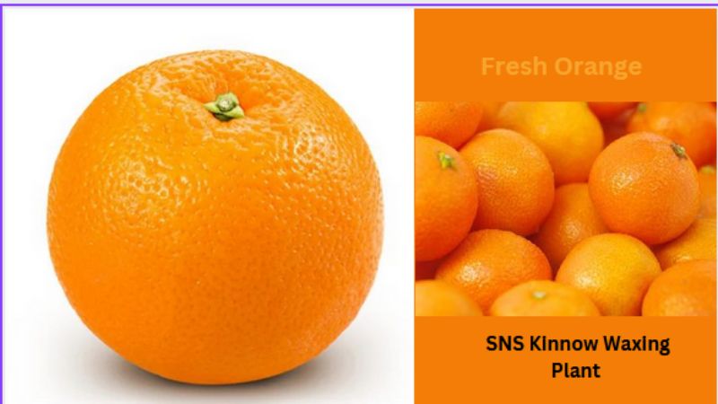 What You Should Know For Buying Fresh Oranges