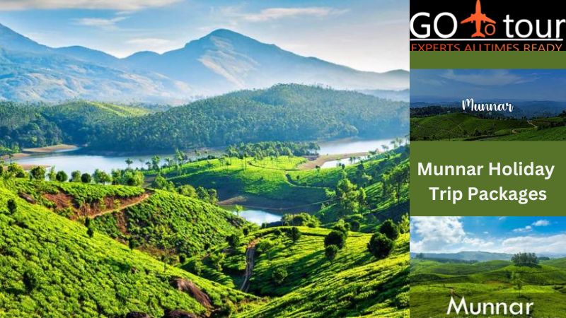 Why Should You Go On A Munnar Holiday Trip?