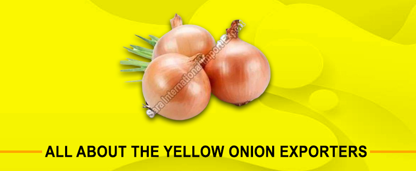 All about the Yellow Onion Exporters