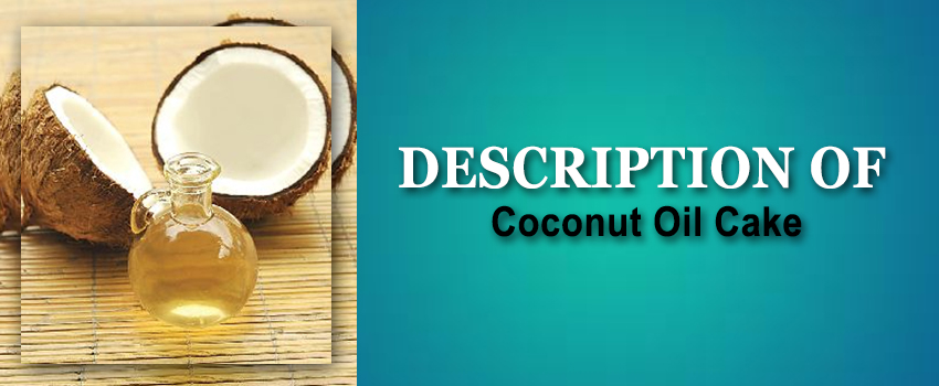 Description of Coconut Oil Cake