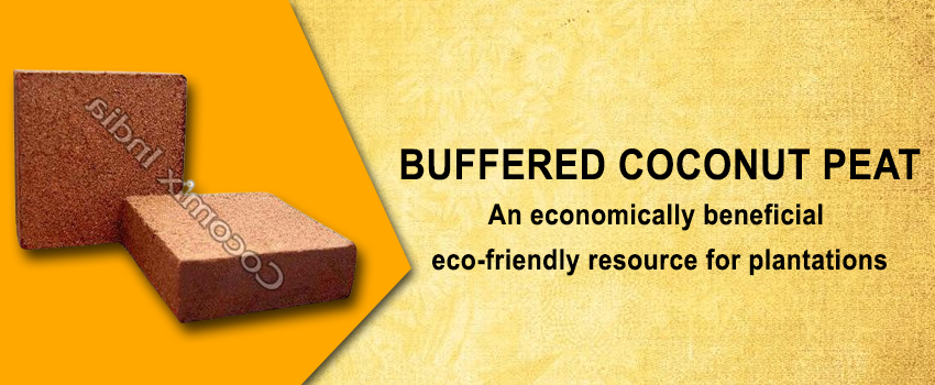 Buffered Coconut Peat- An economically beneficial eco-friendly resource for plantations