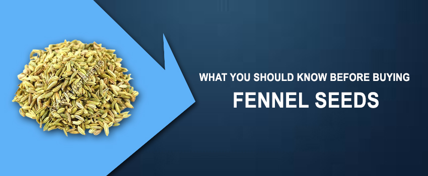 What You Should Know Before Buying Fennel Seeds