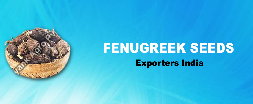 Choose Fenugreek Seeds Exporters India To Improve your Nutritional Profile