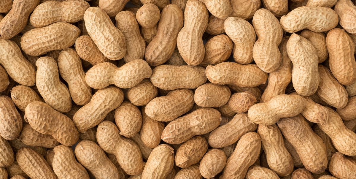 Peanuts and Your Brain Health: How This Nut Can Boost Cognitive Function and Mood