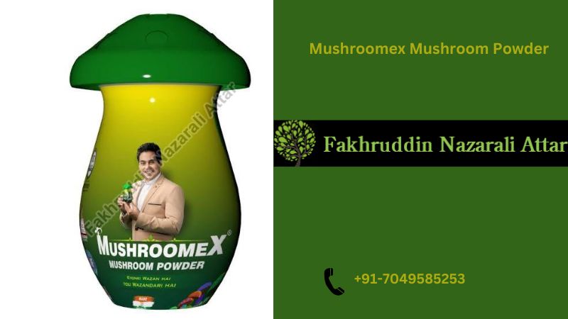 Mushroomex Mushroom Powder – A Healthy and Natural Powder