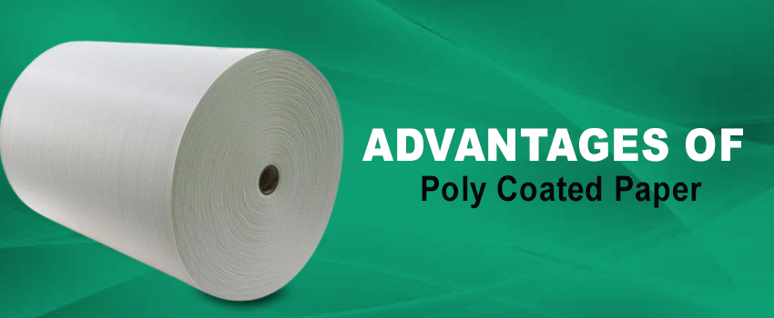 Advantages Of Poly Coated Paper