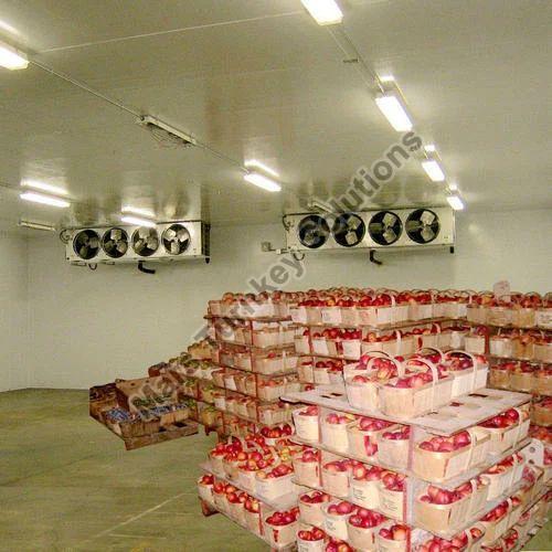 Fruit Cold Storage Room Exporter: Supplying Quality Storage Space