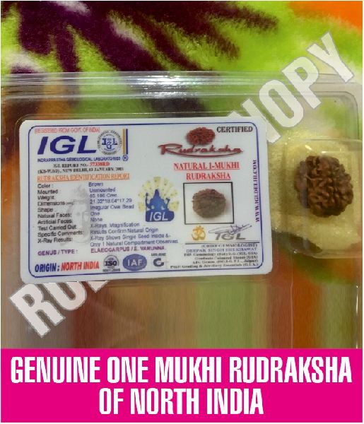 The Mystical Marvel: Unveiling the Enigma of One Mukhi Rudraksha