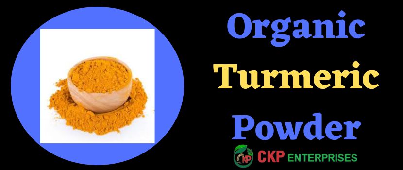 Unlocking the Health Benefits of Organic Turmeric Powder