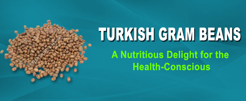 Turkish Gram Beans: A Nutritious Delight for the Health-Conscious