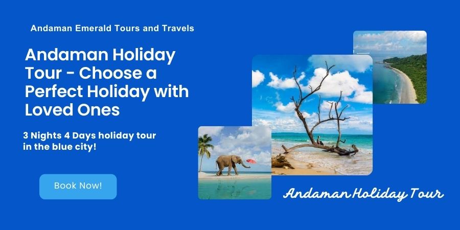 Andaman Holiday Tour: Choose a Perfect Holiday with Loved Ones