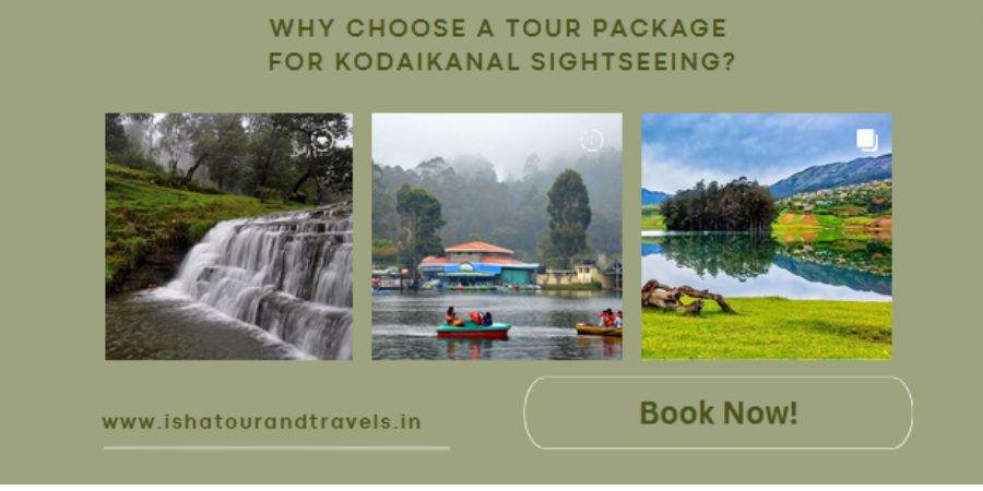 Why Choose a Tour Package for Kodaikanal Sightseeing?