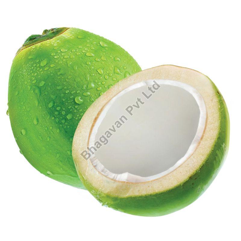 Fresh Green Coconut: Nature\'s Hydration and Nutrient Powerhouse