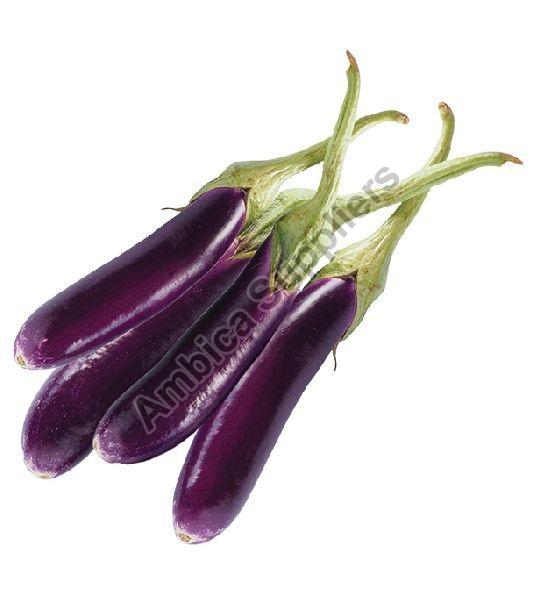 The Mighty Long Brinjal: A Versatile Vegetable for Every Kitchen