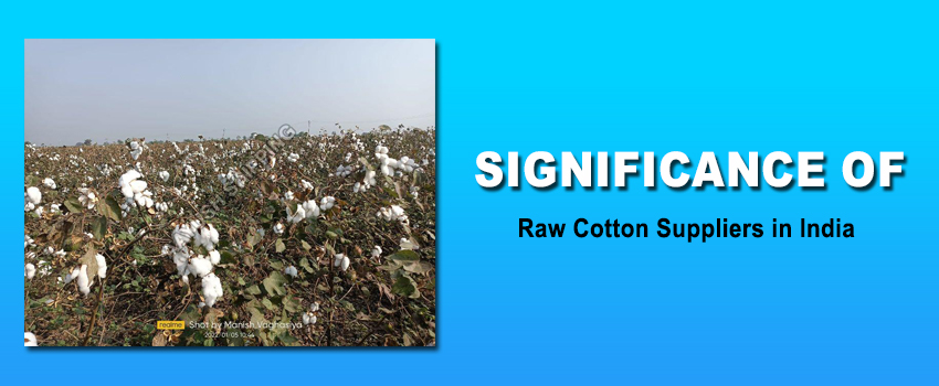 Significance of Raw Cotton Suppliers in India