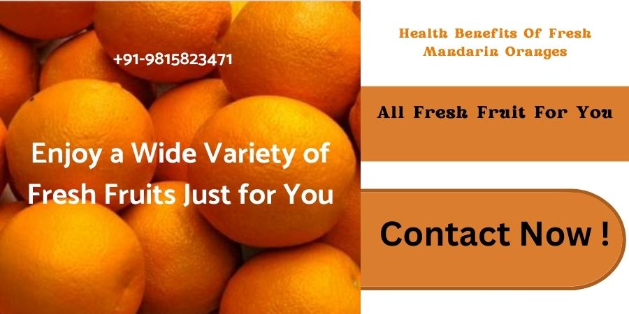 Fresh Mandarin Oranges: Get the Bulk Supplies in Perfect Packaging