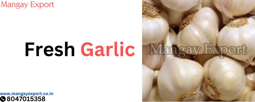 Fresh Garlic Wholesale in Chennai: A Clove of Flavor and Business