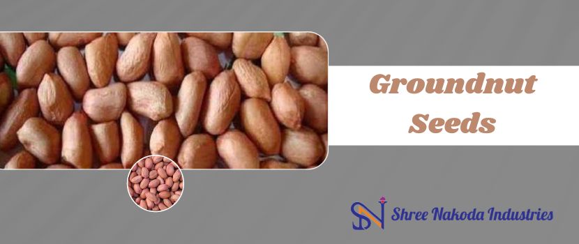 Role of Groundnut Seed Manufacturers
