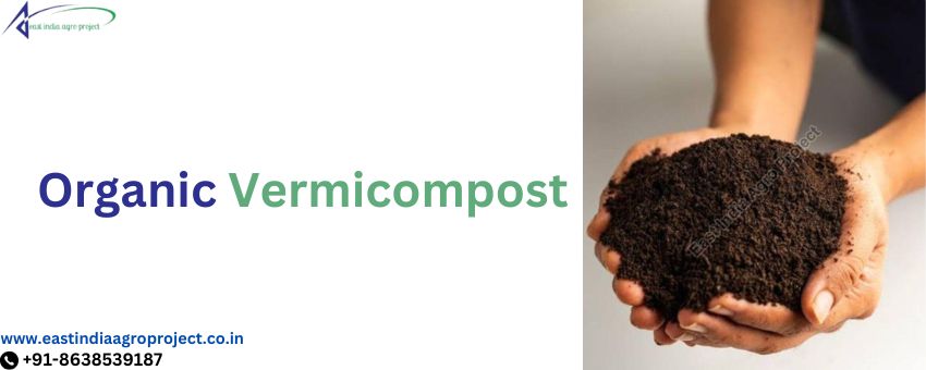 Organic Vermicompost Manufacturer – Get the Better Supply of Nutrients