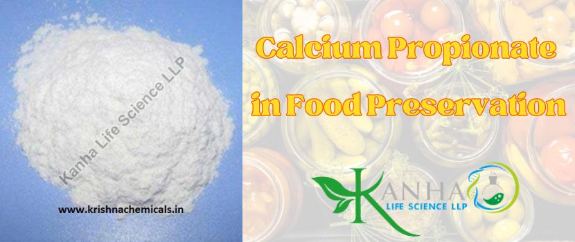 The Role and Impact of Calcium Propionate in Food Preservation