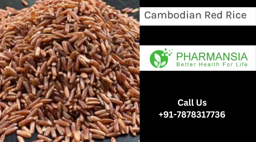 Nourishing Body and Earth: The Allure of Organic Cambodian Red Rice