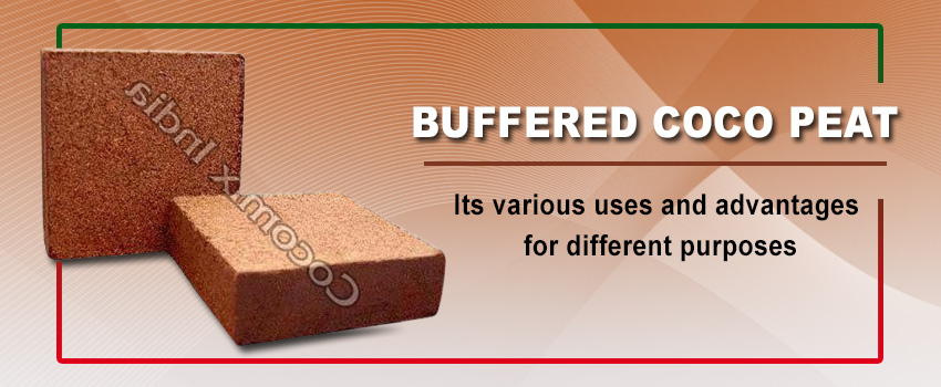 Buffered Coco Peat Manufacturer – Its various uses and advantages for different purposes