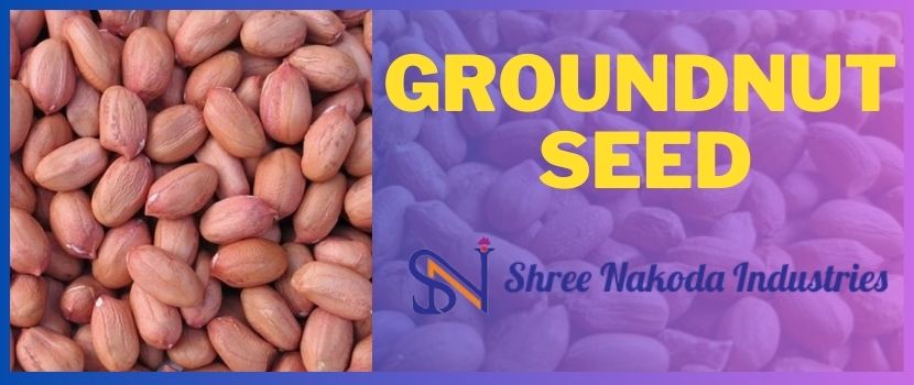 Fresh Groundnut Seed – Enjoy the Utmost Health Benefits