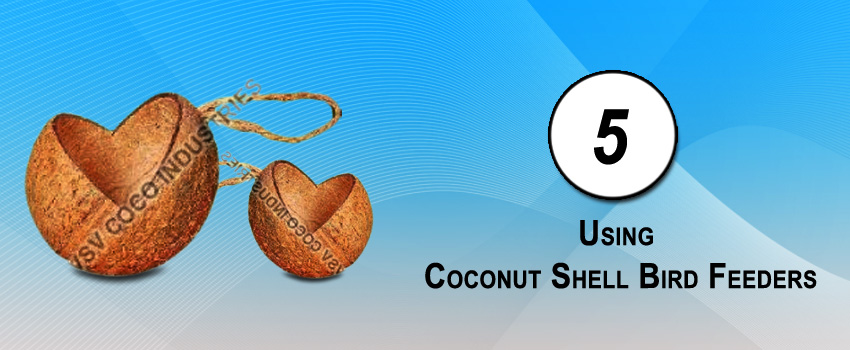 5 Benefits Of Using Coconut Shell Bird Feeders