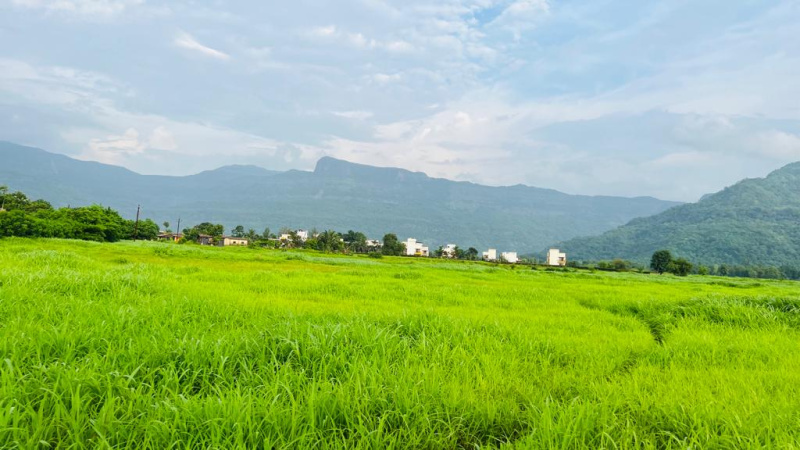 Gaothan Touch Land for Salе in Karjat: A Slicе of Rural Paradisе Bеckons