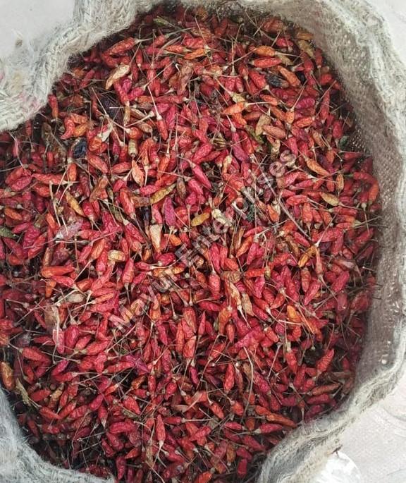 11 Surprising Benefits Of Adding Bird Eye Red Chilli To Your Food