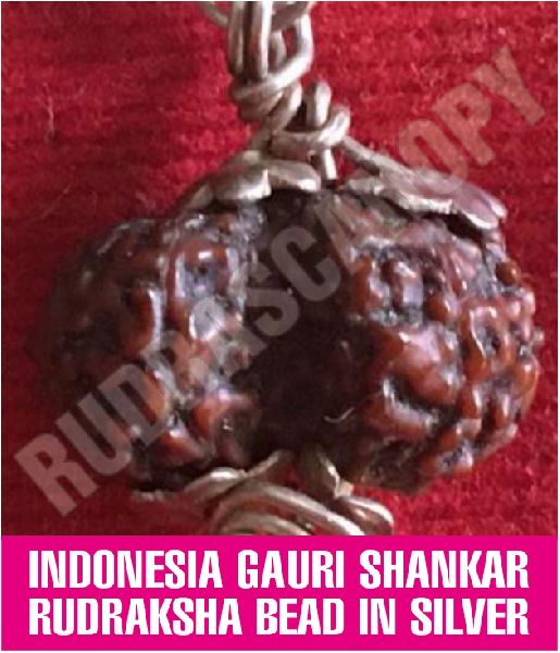 Gauri Shankar Rudraksha Beads: Benefits & How to Wear