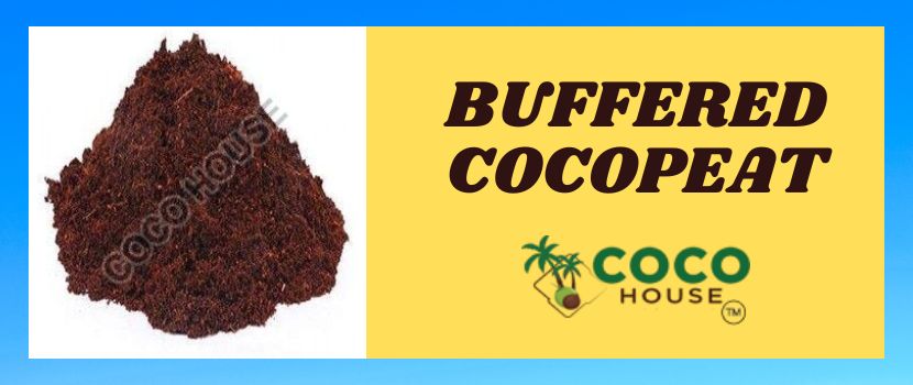Harnessing Nature\'s Bounty: The Marvel of Buffered Cocopeat