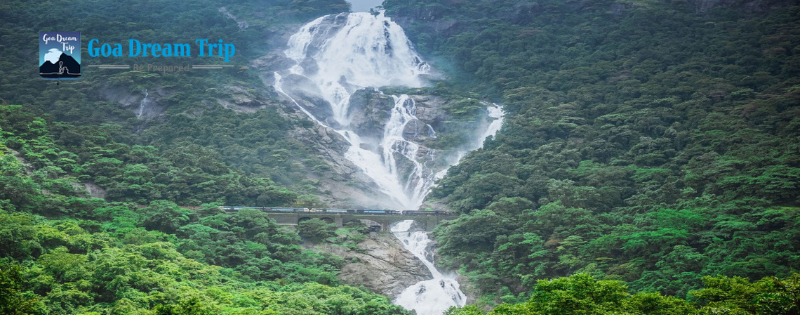 Dudhsagar Delight: Unveiling the Charms of Goa\'s Majestic Waterfall