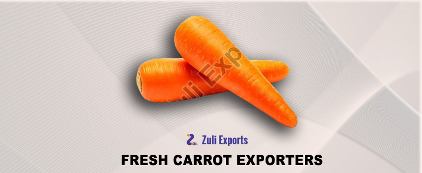Acquire authentic grade carrots from the major fresh carrot exporters in the world