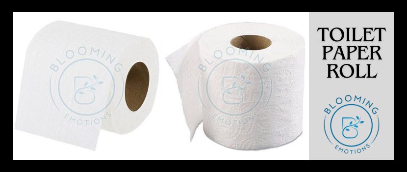 Steps To Buying High-Quality Toilet Tissue Paper Roll From Online Manufacturer