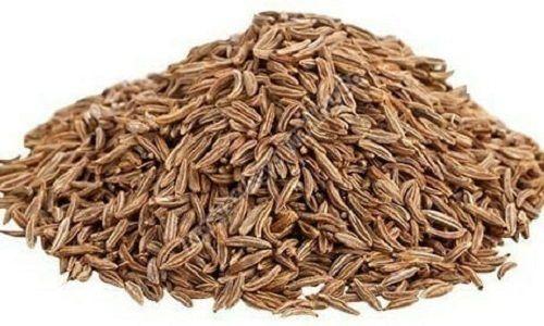 Brown Cumin Seeds – Seeds with multiple use and surprising health benefits