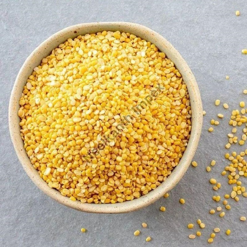 Find Your Balanced Meal With Yellow Moong Dal In Gujarat